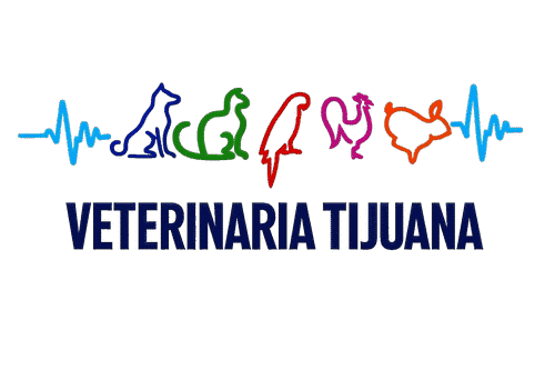 VETERINARIA